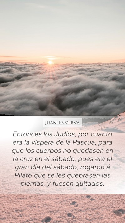 Juan 19:31 RVA Bible Verse Image