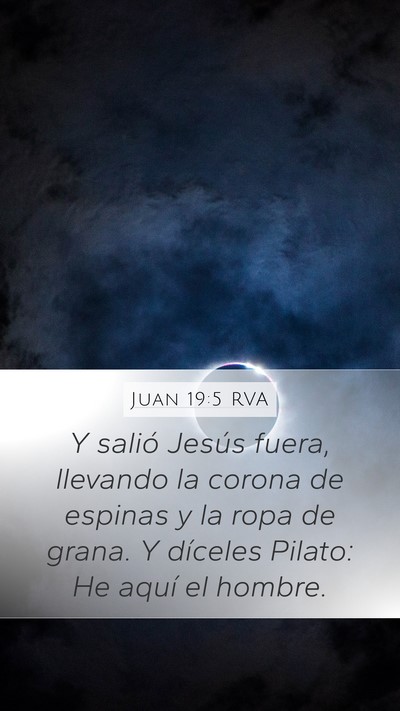 Juan 19:5 RVA Bible Verse Image