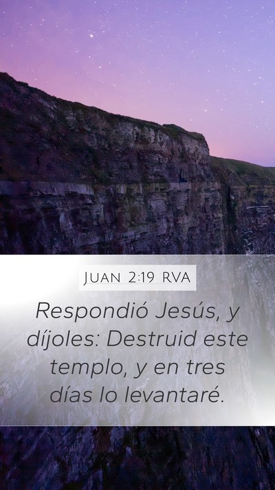 Juan 2:19 RVA Bible Verse Image