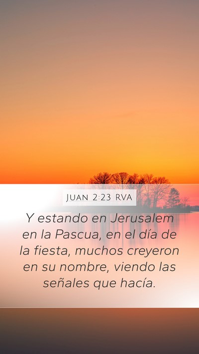 Juan 2:23 RVA Bible Verse Image