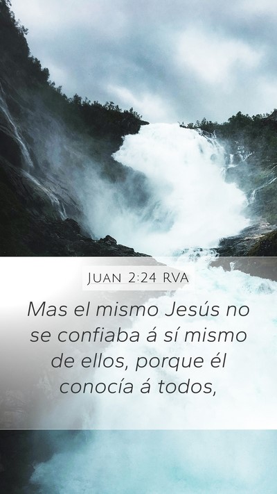 Juan 2:24 RVA Bible Verse Image