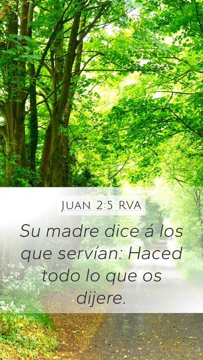 Juan 2:5 RVA Bible Verse Image