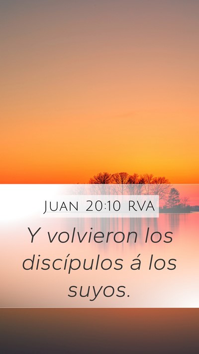 Juan 20:10 RVA Mobile Phone Wallpaper - Y volvieron los discípulos á los - Mobile Bible Verse Wallpaper
