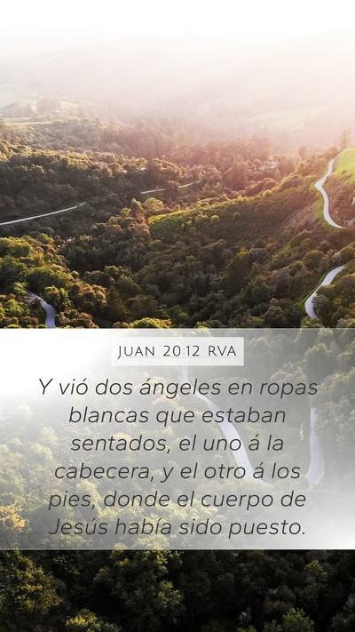 Juan 20:12 RVA Bible Verse Image