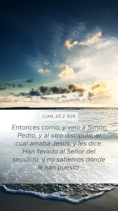 Juan 20:2 RVA Bible Verse Image