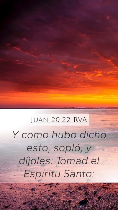 Juan 20:22 RVA Bible Verse Image