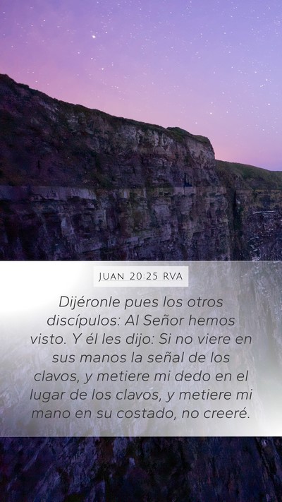 Juan 20:25 RVA Bible Verse Image