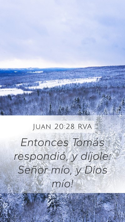 Juan 20:28 RVA Bible Verse Image