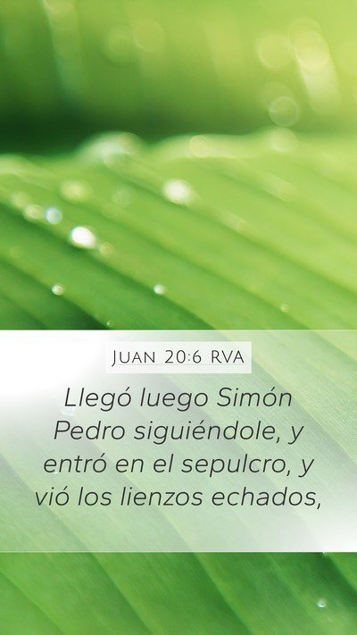 Juan 20:6 RVA Bible Verse Image