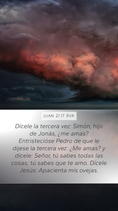 Juan 21:17 RVA Bible Verse Image