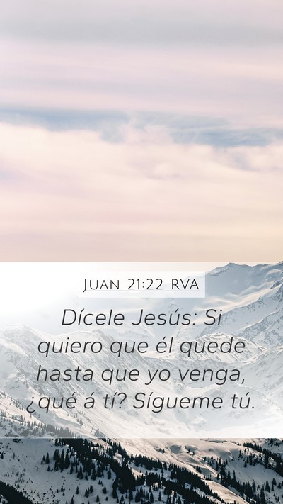 Juan 21:22 RVA Bible Verse Image