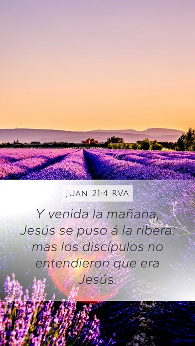 Juan 21:4 RVA Mobile Phone Wallpaper - Y venida la mañana, Jesús se puso á la ribera: - Mobile Bible Verse Wallpaper