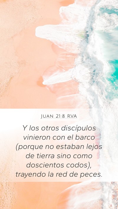 Juan 21:8 RVA Bible Verse Image