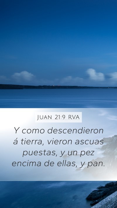 Juan 21:9 RVA Bible Verse Image