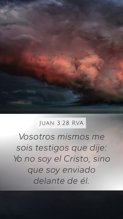 Juan 3:28 RVA Bible Verse Image