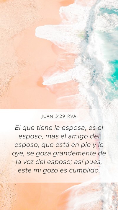 Juan 3:29 RVA Bible Verse Image