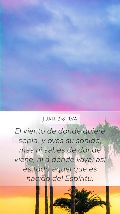 Juan 3:8 RVA Bible Verse Image