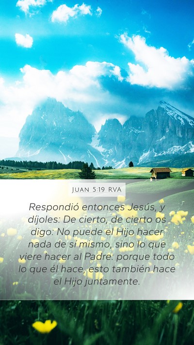 Juan 5:19 RVA Bible Verse Image