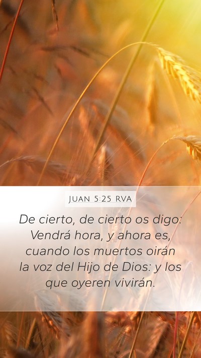 Juan 5:25 RVA Bible Verse Image