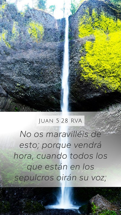 Juan 5:28 RVA Bible Verse Image