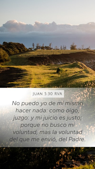 Juan 5:30 RVA Bible Verse Image
