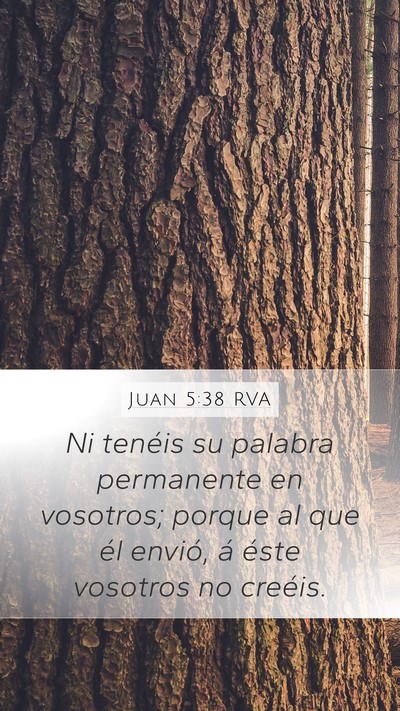 Juan 5:38 RVA Bible Verse Image