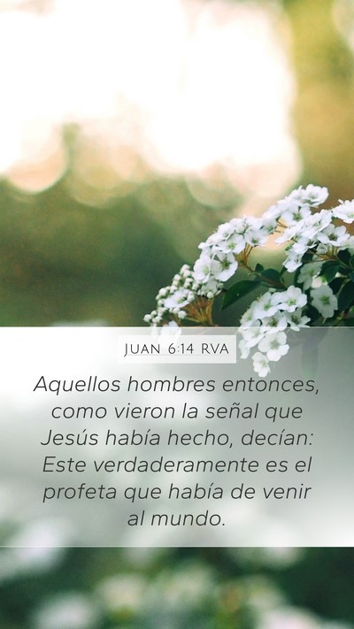 Juan 6:14 RVA Bible Verse Image