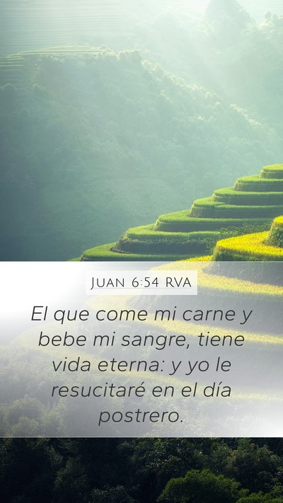 Juan 6:54 RVA Mobile Phone Wallpaper - El que come mi carne y bebe mi sangre, tiene vida - Mobile Bible Verse Wallpaper