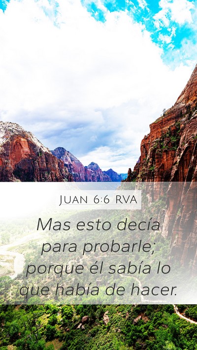 Juan 6:6 RVA Bible Verse Image