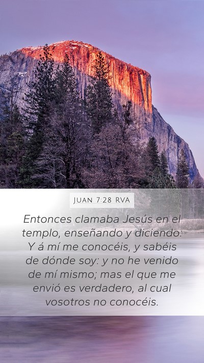 Juan 7:28 RVA Bible Verse Image