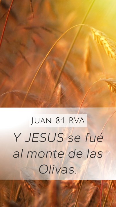 Juan 8:1 RVA Bible Verse Image