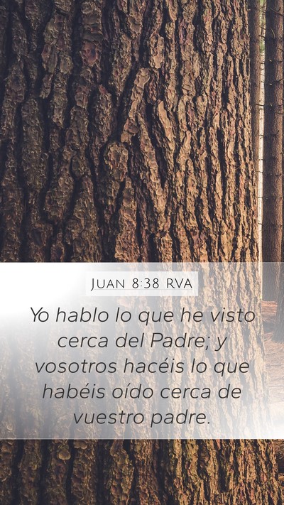 Juan 8:38 RVA Bible Verse Image