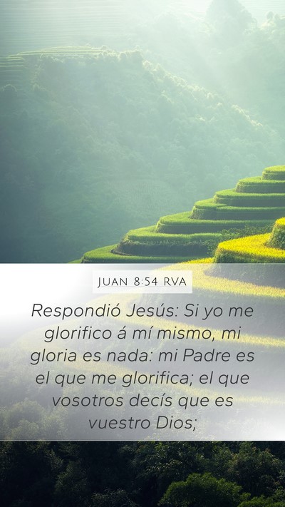 Juan 8:54 RVA Bible Verse Image