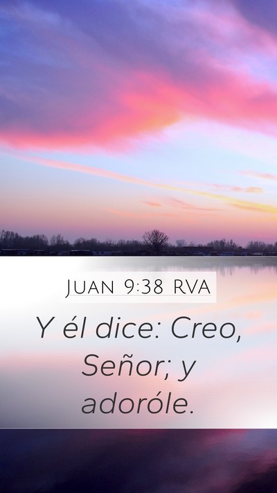 Juan 9:38 RVA Bible Verse Image