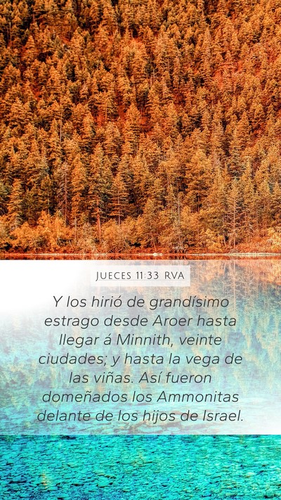 Jueces 11:33 RVA Bible Verse Image