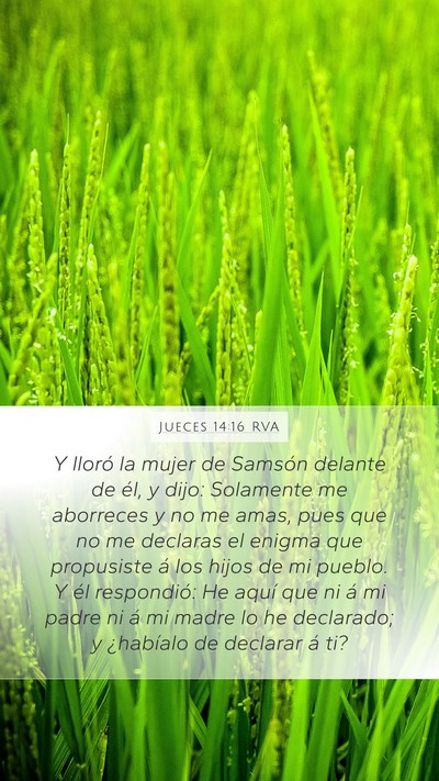 Jueces 14:16 RVA Bible Verse Image