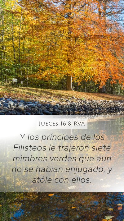 Jueces 16:8 RVA Mobile Phone Wallpaper - Y los príncipes de los Filisteos le trajeron - Mobile Bible Verse Wallpaper