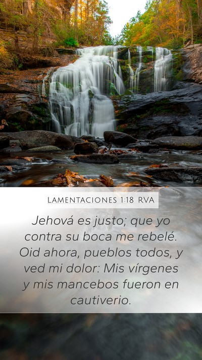 Lamentaciones 1:18 RVA Bible Verse Image