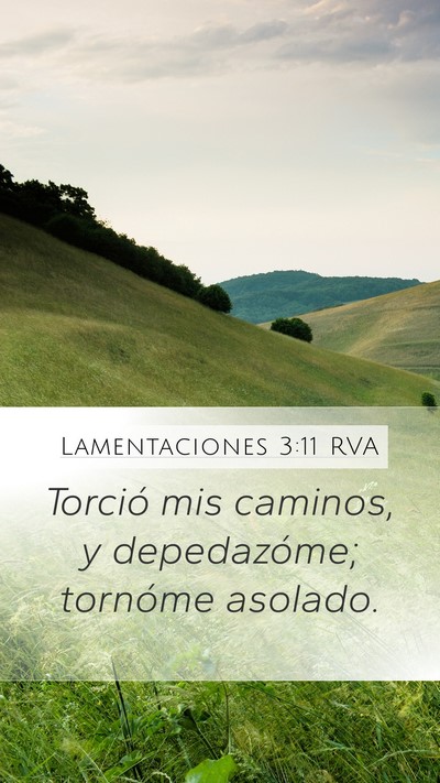 Lamentaciones 3:11 RVA Bible Verse Image