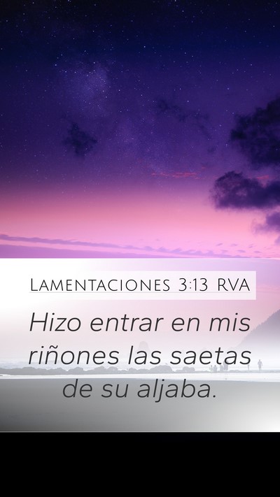 Lamentaciones 3:13 RVA Bible Verse Image