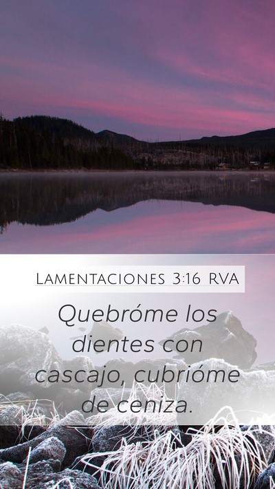 Lamentaciones 3:16 RVA Mobile Phone Wallpaper - Quebróme los dientes con cascajo, cubrióme de - Mobile Bible Verse Wallpaper