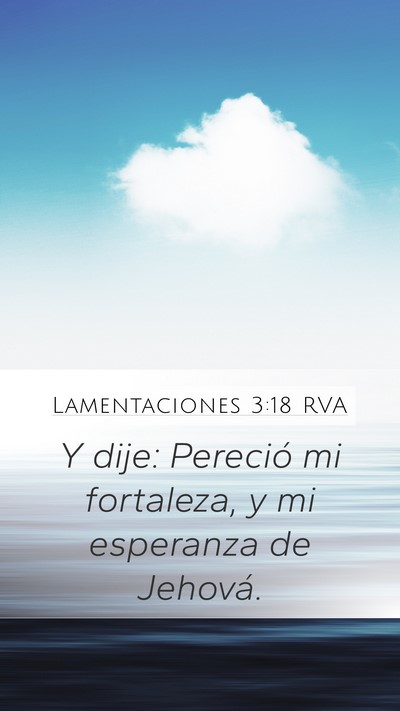Lamentaciones 3:18 RVA Mobile Phone Wallpaper - Y dije: Pereció mi fortaleza, y mi esperanza de - Mobile Bible Verse Wallpaper