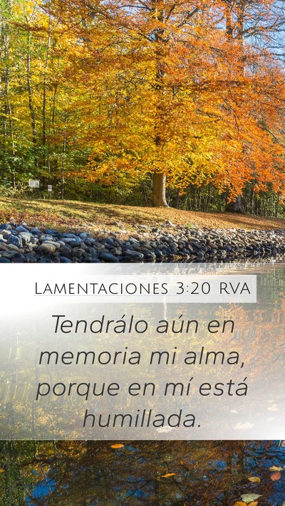 Lamentaciones 3:20 RVA Bible Verse Image