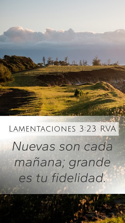 Lamentaciones 3:23 RVA Bible Verse Image