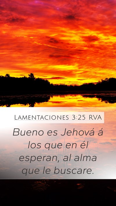 Lamentaciones 3:25 RVA Bible Verse Image