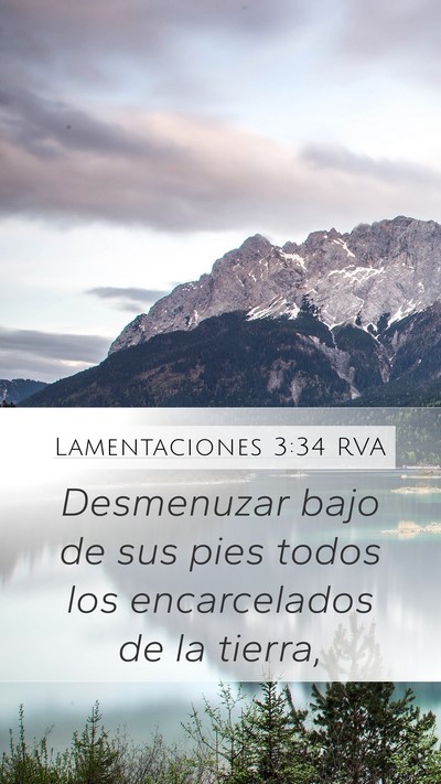 Lamentaciones 3:34 RVA Bible Verse Image
