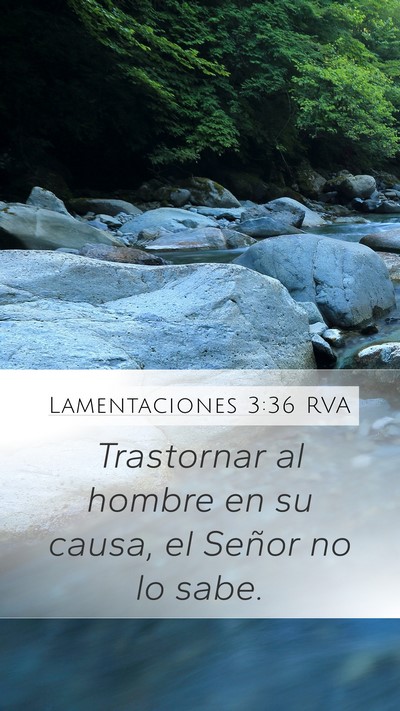 Lamentaciones 3:36 RVA Mobile Phone Wallpaper - Trastornar al hombre en su causa, el Señor no lo - Mobile Bible Verse Wallpaper