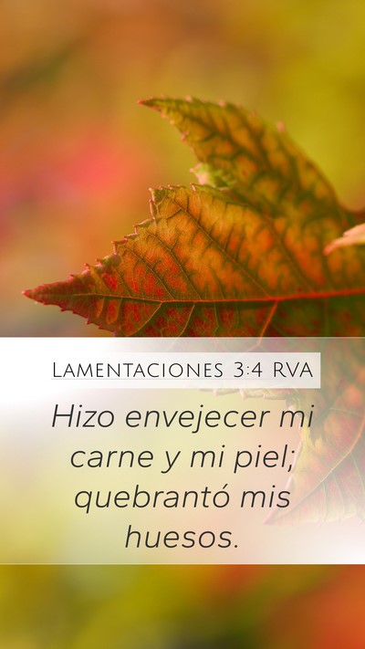 Lamentaciones 3:4 RVA Bible Verse Image