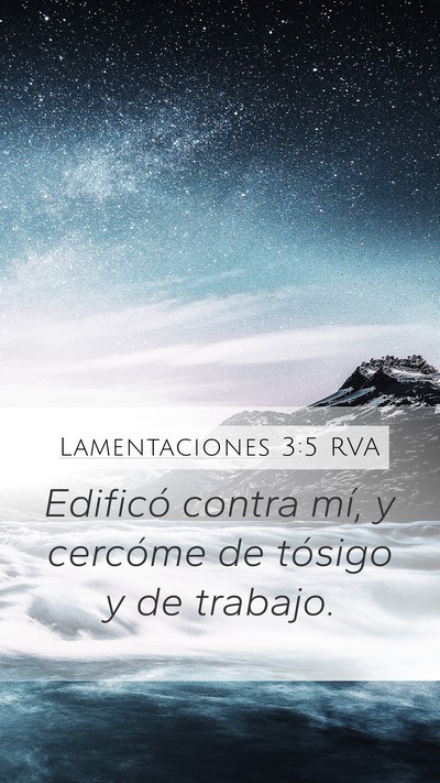 Lamentaciones 3:5 RVA Bible Verse Image