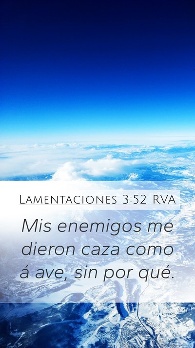 Lamentaciones 3:52 RVA Bible Verse Image